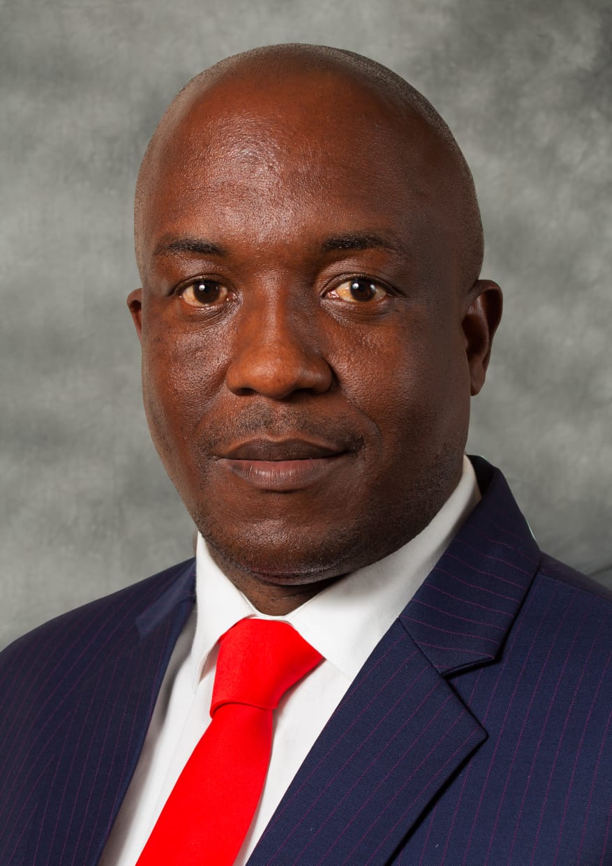 Mandla Msibi